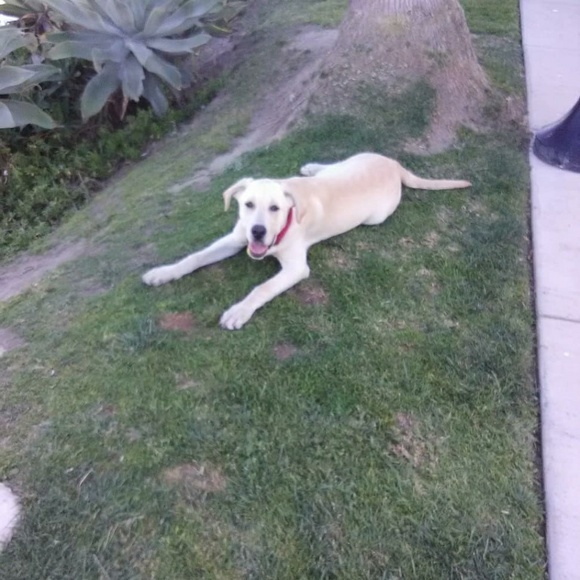 Meet your Posher, Karen - Picture 2 of 6